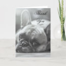Pesquisar por french bulldog de cartoes Animal