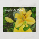 Pesquisar por amarelo lilly Jardim