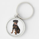 Pesquisar por cachorro rottweiler chaveiros Cachorrinho