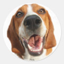 Pesquisar por cachorros adesivos Animais de estimação