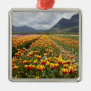 Pesquisar por flor do campo ornamentos América do norte