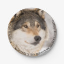 Pesquisar por lobos pratos Fofofo