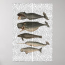 Pesquisar por vintage animal pósteres pôsteres Folhas de flores