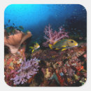 Pesquisar por underwater adesivos Vida marinha