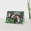 Pesquisar por holy cartoes postais Farm