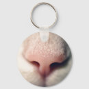 Pesquisar por gato com botas chaveiros Gatos
