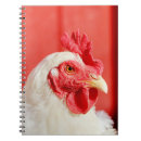 Pesquisar por galo da galinha cadernos de notas Engraçado