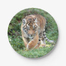 Pesquisar por natureza pratos Fofo