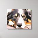 Pesquisar por border collie impressão de canvas Animais