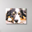 Pesquisar por border collie impressão de canvas Cães
