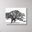 Pesquisar por madeira carvalho de impressão de canvas Branco