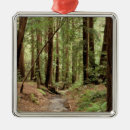 Pesquisar por tronco de árvore ornamentos Latido