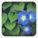 Pesquisar por flor celestial adesivos Floral
