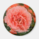 Pesquisar por les Rosa