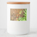 Pesquisar por cabeça armazenamento alimentos Natureza