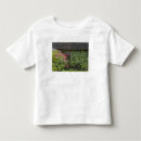 Pesquisar por condado camisetas Irlandês