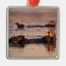 Pesquisar por lontra ornamentos Mamífero