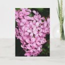 Pesquisar por aroma cartoes Floral