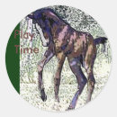 Pesquisar por colt adesivos Cavalos