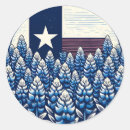 Pesquisar por texan adesivos Estado