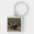 Pesquisar por perus selvagens chaveiros Animal