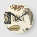 Pesquisar por decoração do elefante relogios de parede Animais