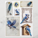 Pesquisar por gaiola artesanato material Azul