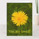 Pesquisar por mistério cartoes Floral