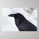Pesquisar por perfil animal pósteres pôsteres Cabeça