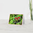 Pesquisar por pavão cartoes Borboleta