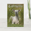 Pesquisar por canto aniversario cartoes Aniversário