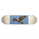 Pesquisar por falcão skates Animal
