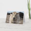 Pesquisar por crianças adotadas cartoes New parents