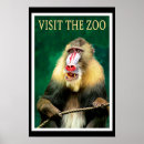 Pesquisar por macaco vintage artes pôsteres Animal