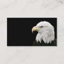 Pesquisar por águias americanas cartao de visita Raptor