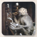 Pesquisar por do macaco copos porta copos Engraçado