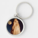 Pesquisar por na formação chaveiros Cena tranquilo