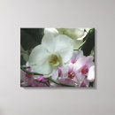 Pesquisar por orquídea branca impressão de canvas Natureza