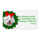 Pesquisar por da coroa etiquetas Para eles