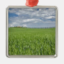 Pesquisar por trigo ornamentos Paisagem