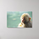 Pesquisar por comida e bebida impressão de canvas Animal