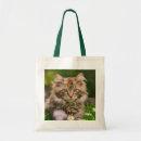 Pesquisar por gatinho bolsas tote Bonitinho