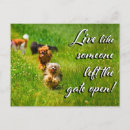 Pesquisar por yorkshire terrier cartoes postais Cão