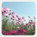 Pesquisar por cosmos adesivos Natureza