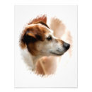 Pesquisar por jack russell pósteres pôsteres Fofofo