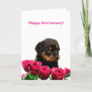 Pesquisar por cão do rottweiler horizontal cartoes Podre