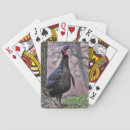 Pesquisar por tom turkey Natureza
