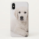 Pesquisar por golden retriever iphone capas Bonito
