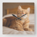 Pesquisar por gengibre relogios de parede Animais de estimação