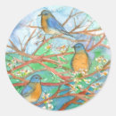 Pesquisar por árvore fruta adesivos Natureza